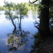 V pravěku, vlastně V pískovně