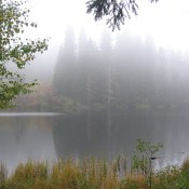 Uplakané jezero Laka
