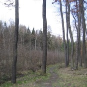 Ještě zimní Klánovice
