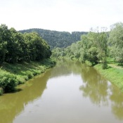 Po dešti je Sázava trochu kalná
