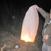 Silvestr 2008, Zolly sleduje přípravy