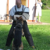 Zákus