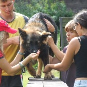 Malý, ale šikovný Cairo na kladině