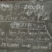 Ráno před zkouškami