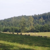 Malebný Ladův kraj