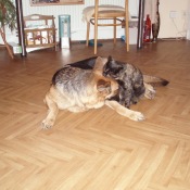 Máme se rády