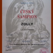 Můj diplom