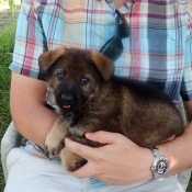 Kuba s Jessinkou