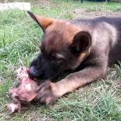 A znovu